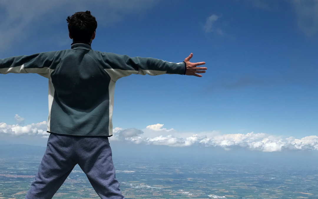 LA STRUTTURA DI UN ARTICOLO